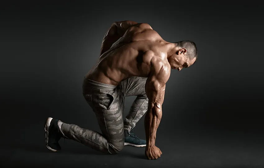 Maximizing Back Muscle Growth: A Comprehensive Workout Guide