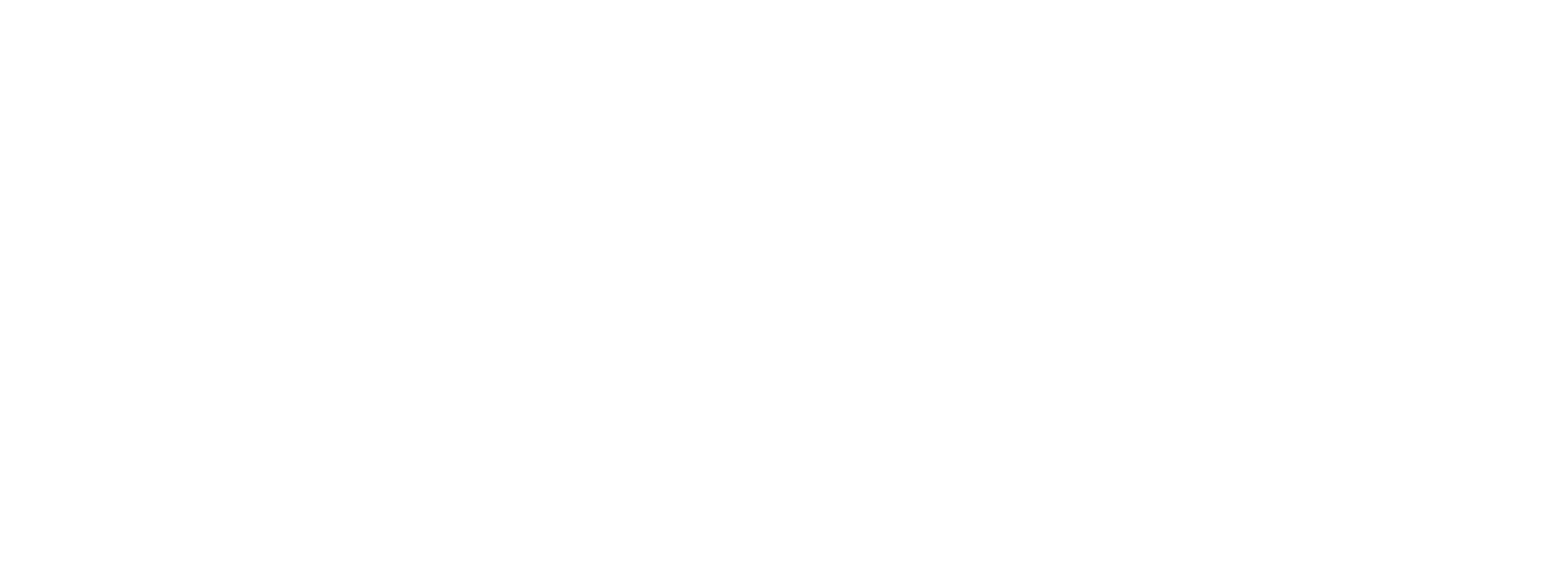 Fitness Society Supplements logo