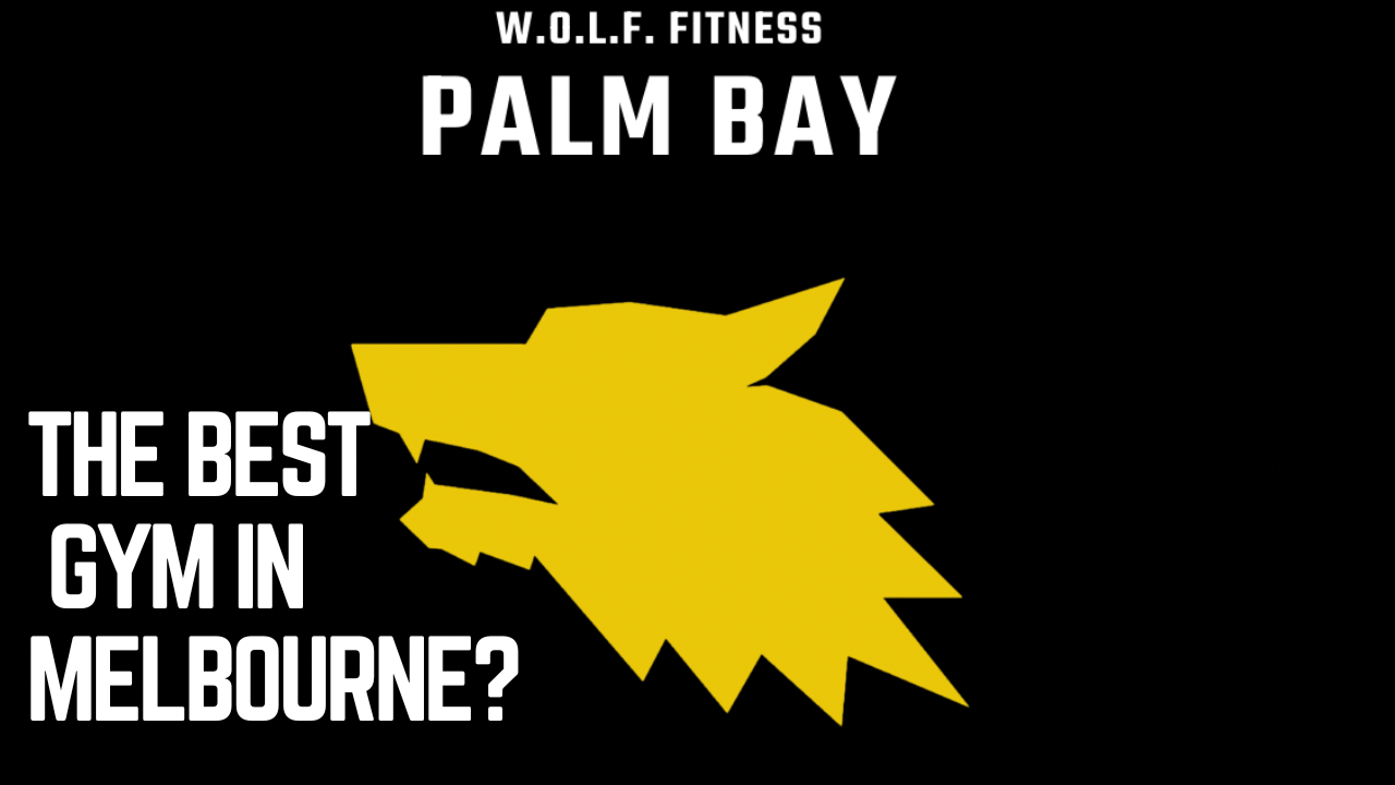 Wolf Fitness PalmBay