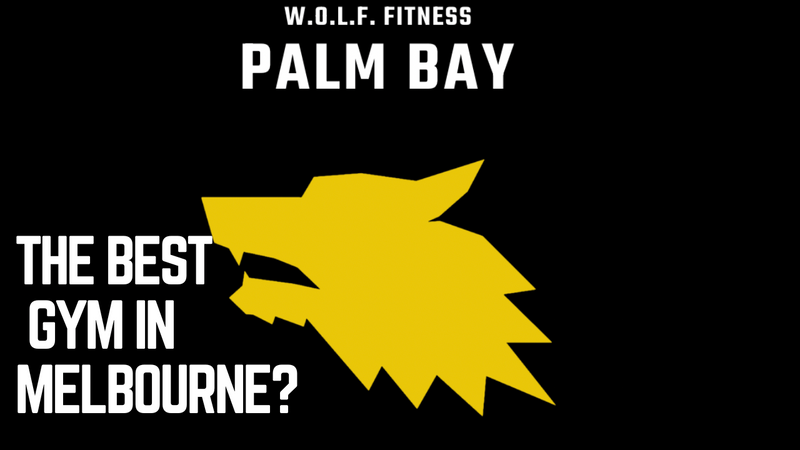 Wolf Fitness PalmBay