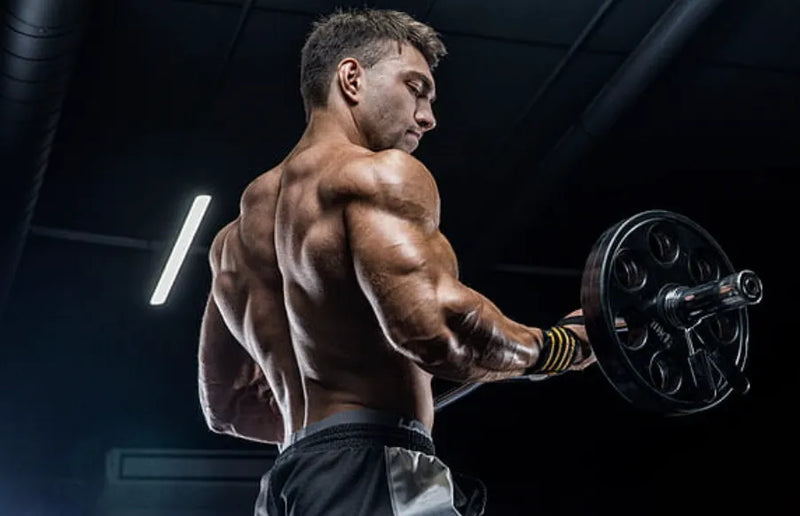 Best testosterone boosters for men