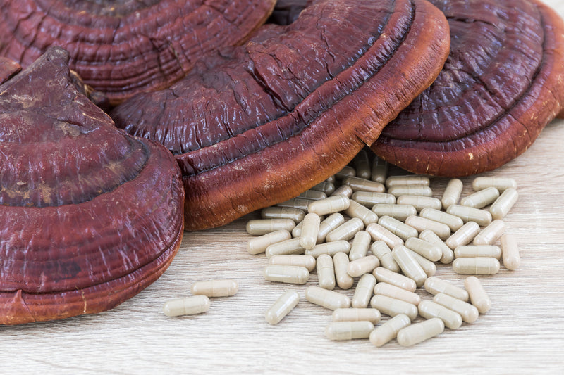 What Are Nootropics Mushrooms