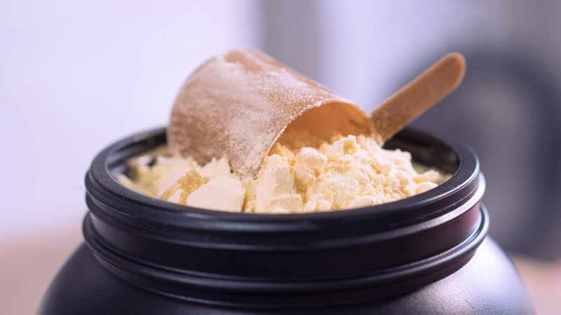 Is Whey Protein Dairy