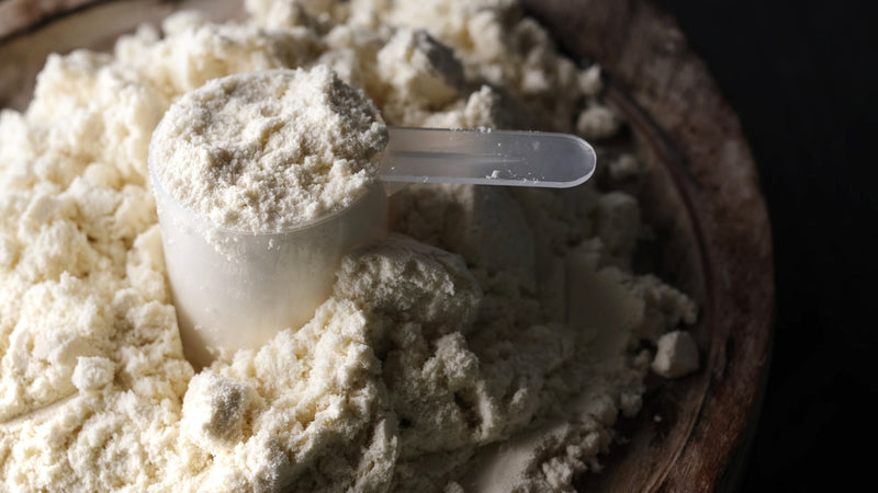 Is Whey Protein Healthy