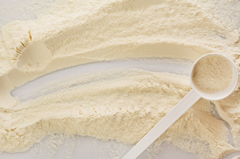 Is Whey Protein Vegetarian