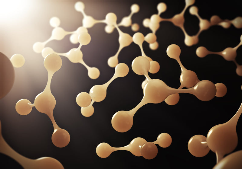 What Are Collagen Peptides