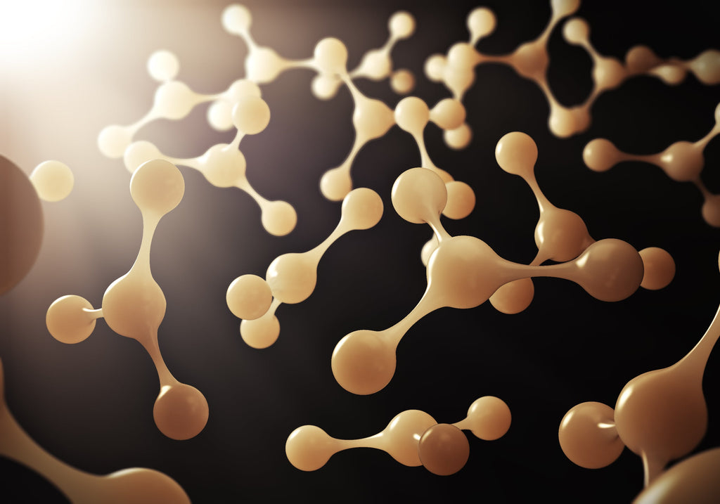 What Are Collagen Peptides