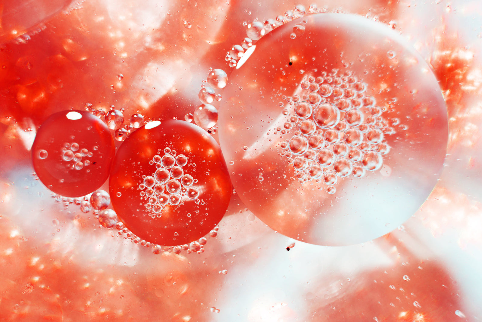 What Does Collagen Do