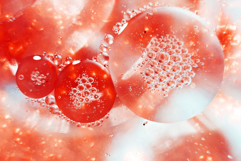 What Does Collagen Do