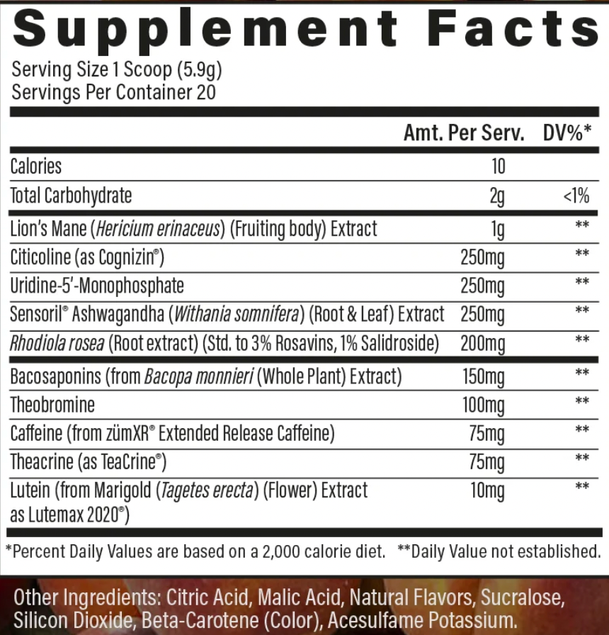 Raw Steady State Notropic